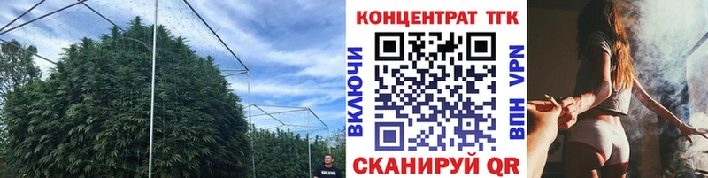 купить KRAKEN вход ТГК жижа Асбест