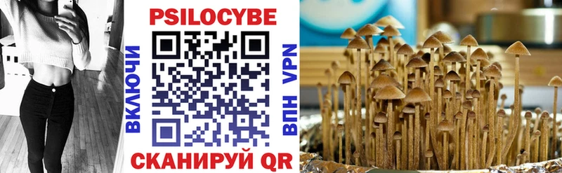 Галлюциногенные грибы мицелий  Асбест 