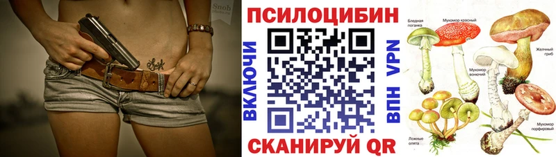 Галлюциногенные грибы Cubensis Асбест