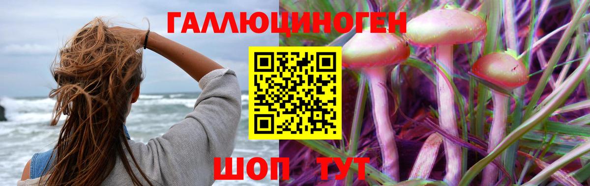 Псилоцибиновые грибы Magic Shrooms  Галлюциногенные грибы GOLDEN TEACHER  цена   Асбест  Вход с VPN 
